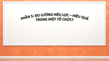 Hệ thống quản lý chất lượng - Kiểm soát tài liệu_Phần 5: Đo lường hiệu lực và hiệu quả